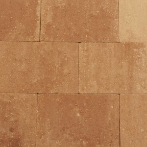 Terrassteen+ 20X30X4cm mf Marrone A. van Elk BV